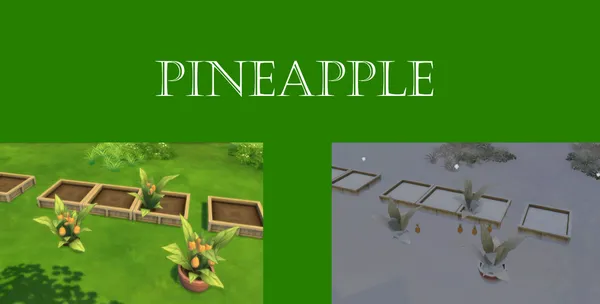 Pineapple Harvestable